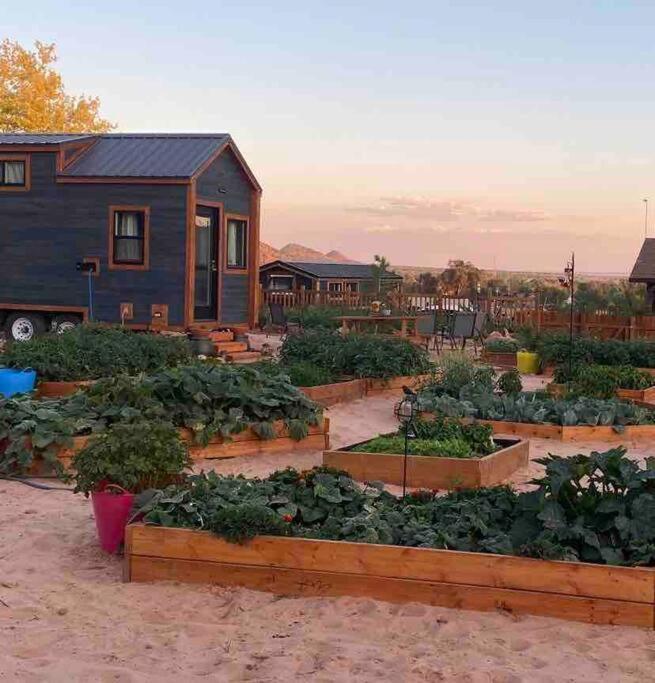 Atlantis Garden Tiny Home Hildale Dış mekan fotoğraf