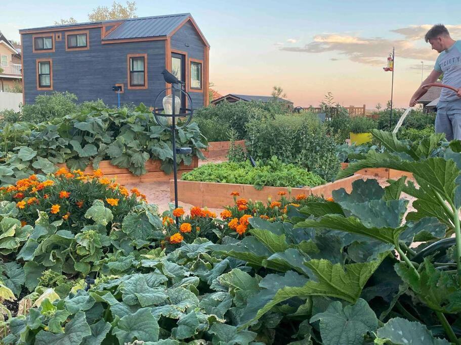 Atlantis Garden Tiny Home Hildale Dış mekan fotoğraf