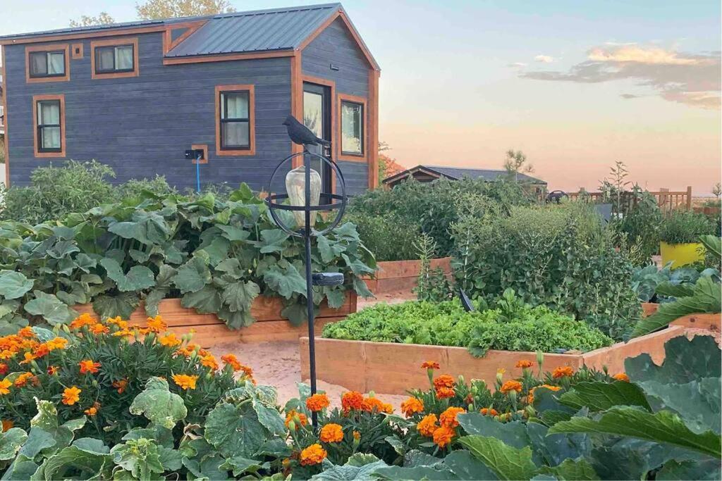 Atlantis Garden Tiny Home Hildale Dış mekan fotoğraf