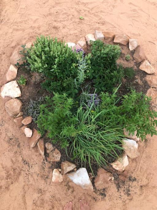 Atlantis Garden Tiny Home Hildale Dış mekan fotoğraf